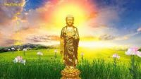 Lời dạy của Đức Phật,Lời dạy cho cuộc sống